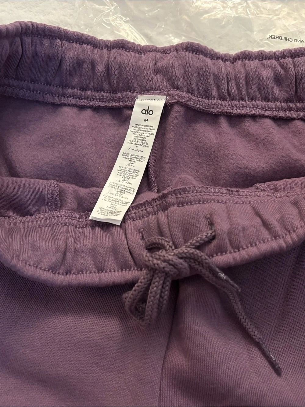 Alo Accolade Shorts Plum Kiss size medium NWT